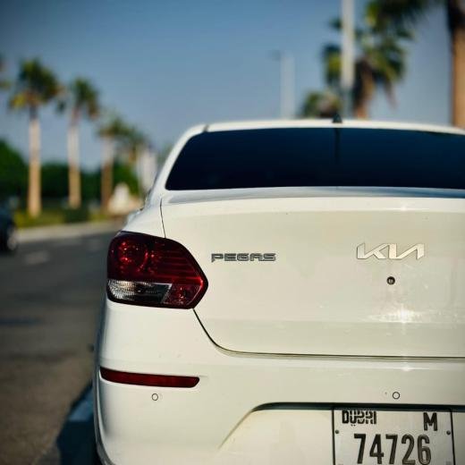 2023 Kia Pegas